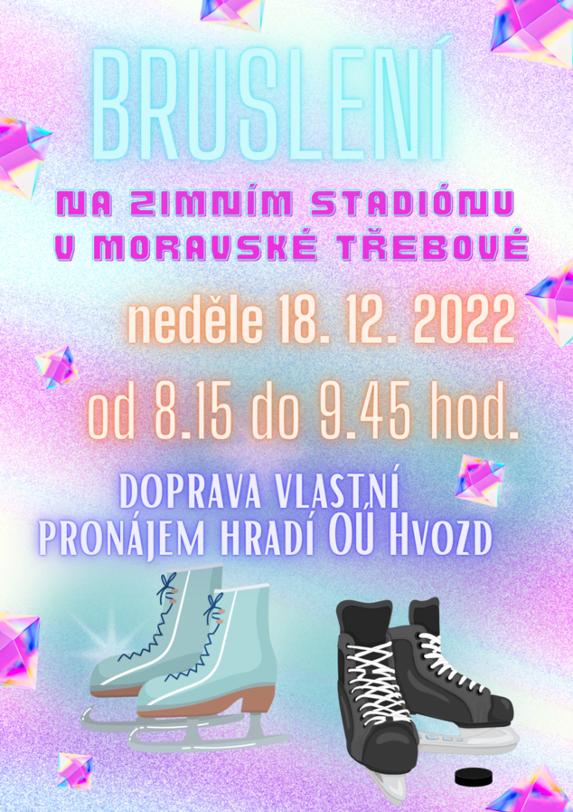 Purple Holographic Skate For Life Poster.png
